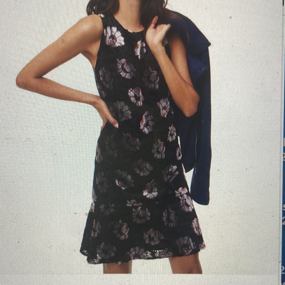NWT Ann Taylor Loft Iced Floral Velvet Swing Dress; Size XS